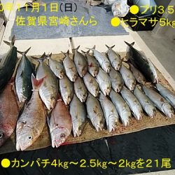 大物釣果速報！●光義丸：平戸市早福港