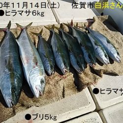 大物釣果速報！●光義丸：平戸市早福港