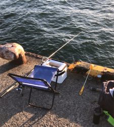 エビ撒き釣りでハネとアジ