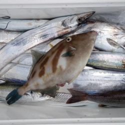 康仁丸・タチ釣り・釣り果