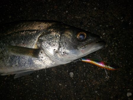 夜練釣行