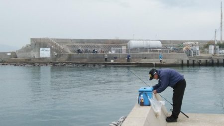 ７時から江井ヶ島のキス調査