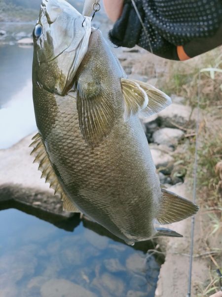 晩秋川バス釣行2