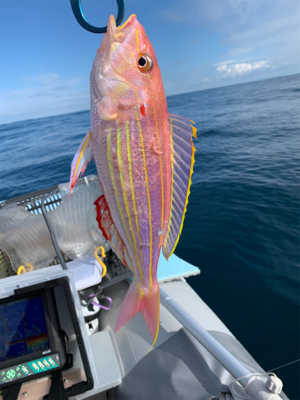 久しぶりの日本海へアマダイ狙い