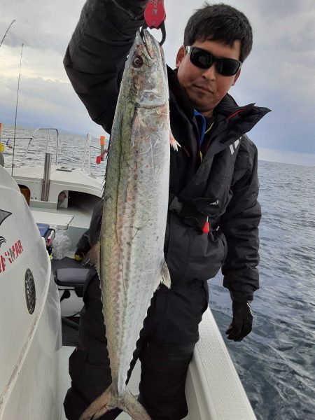 海峰 釣果