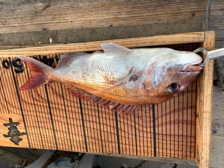 幸吉丸 釣果