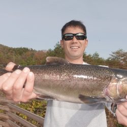 フィッシングレイクたかみや 釣果