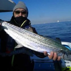 さわ浦丸 釣果