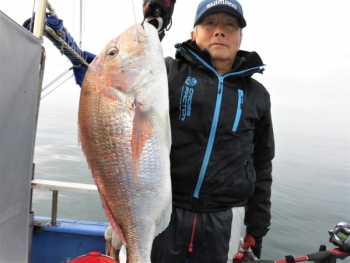 鯛紅丸 釣果