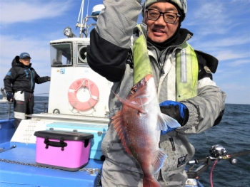 鯛紅丸 釣果