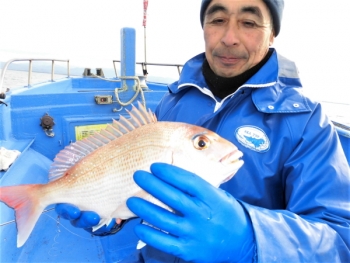 鯛紅丸 釣果