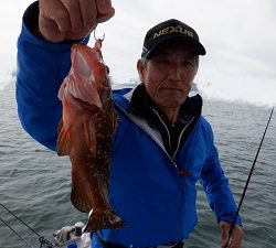 遊漁船 幸友丸 釣果