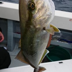 海龍丸（福岡） 釣果