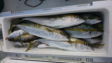 海龍丸（福岡） 釣果