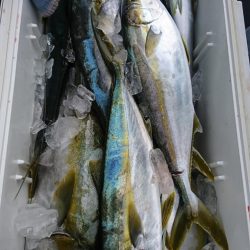 海龍丸（福岡） 釣果