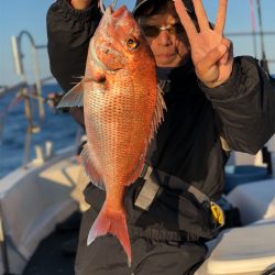 シーマン 釣果