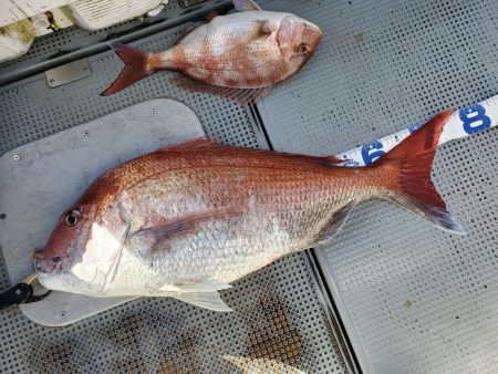 珀宝丸 釣果