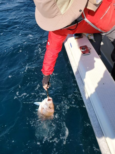 珀宝丸 釣果