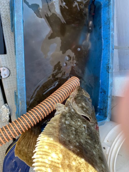 海龍丸（福岡） 釣果