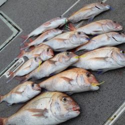 飛燕さくら丸 釣果