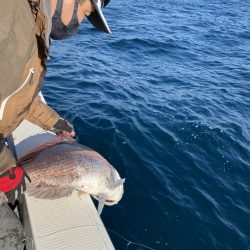 海龍丸（福岡） 釣果