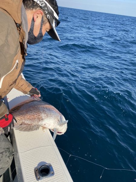 海龍丸（福岡） 釣果