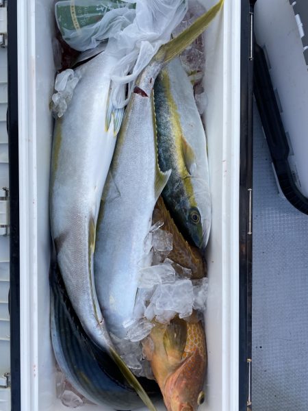 海龍丸（福岡） 釣果