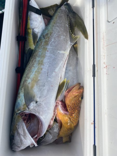 海龍丸（福岡） 釣果