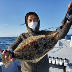 ブルーピア 釣果