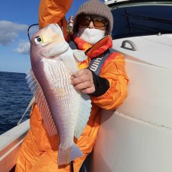 海峰 釣果