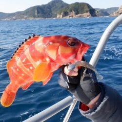 開進丸 釣果