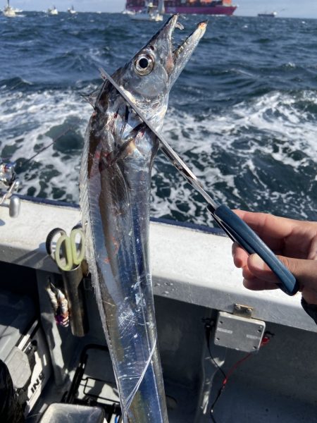 夢丸 釣果