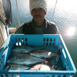 たかみ丸 釣果