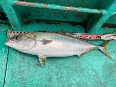 広進丸 釣果