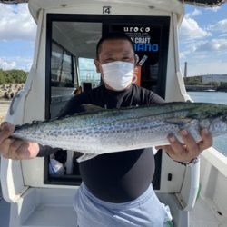 ミタチ丸 釣果