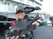 春日丸 釣果