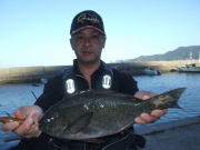 春日丸 釣果