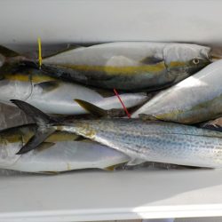 ＨＡＲＵＫＡ丸　はるかまる 釣果