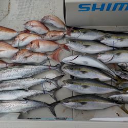 ＨＡＲＵＫＡ丸　はるかまる 釣果