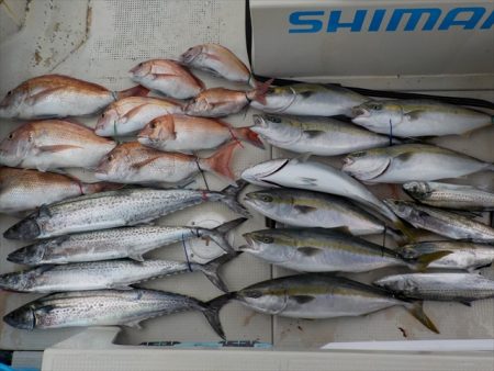 ＨＡＲＵＫＡ丸　はるかまる 釣果