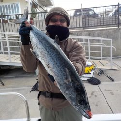 ＨＡＲＵＫＡ丸　はるかまる 釣果