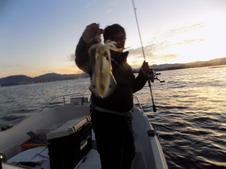 フィッシングボート空風（そらかぜ） 釣果