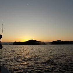 フィッシングボート空風（そらかぜ） 釣果