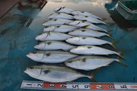 アジアマリンサービス 釣果