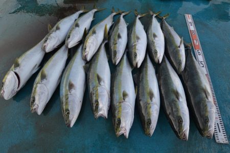 アジアマリンサービス 釣果