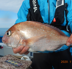 作十丸 釣果