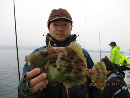 まとばや 釣果