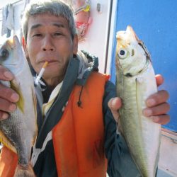 まとばや 釣果