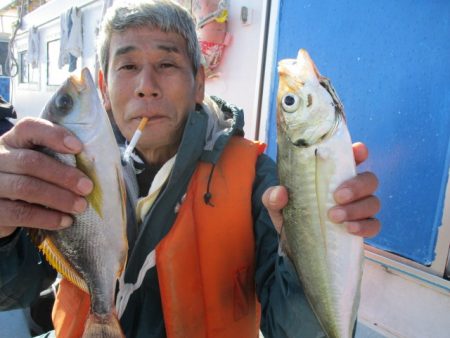 まとばや 釣果