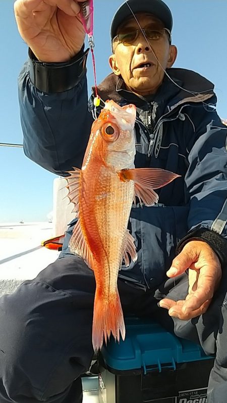 金剛丸 釣果